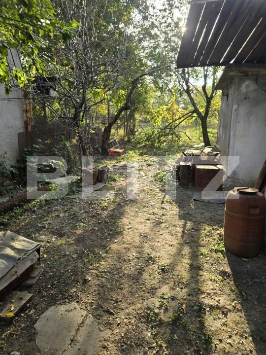 Casa de vânzare 3 camere Viisoara - 207974CV | BLITZ Târgoviște | Poza13