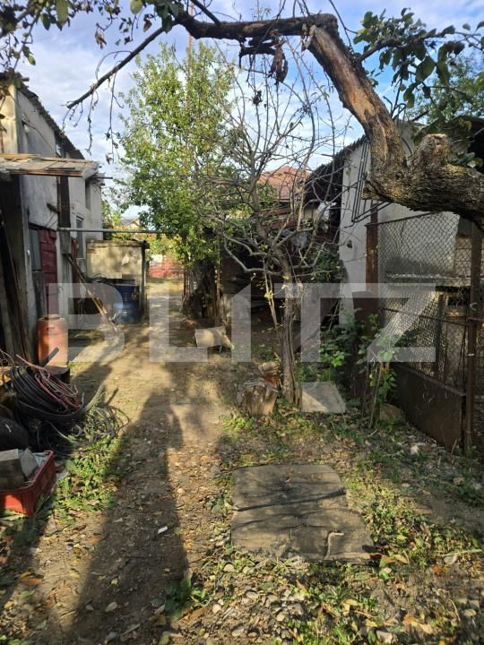 Casa de vânzare 3 camere Viisoara - 207974CV | BLITZ Târgoviște | Poza16