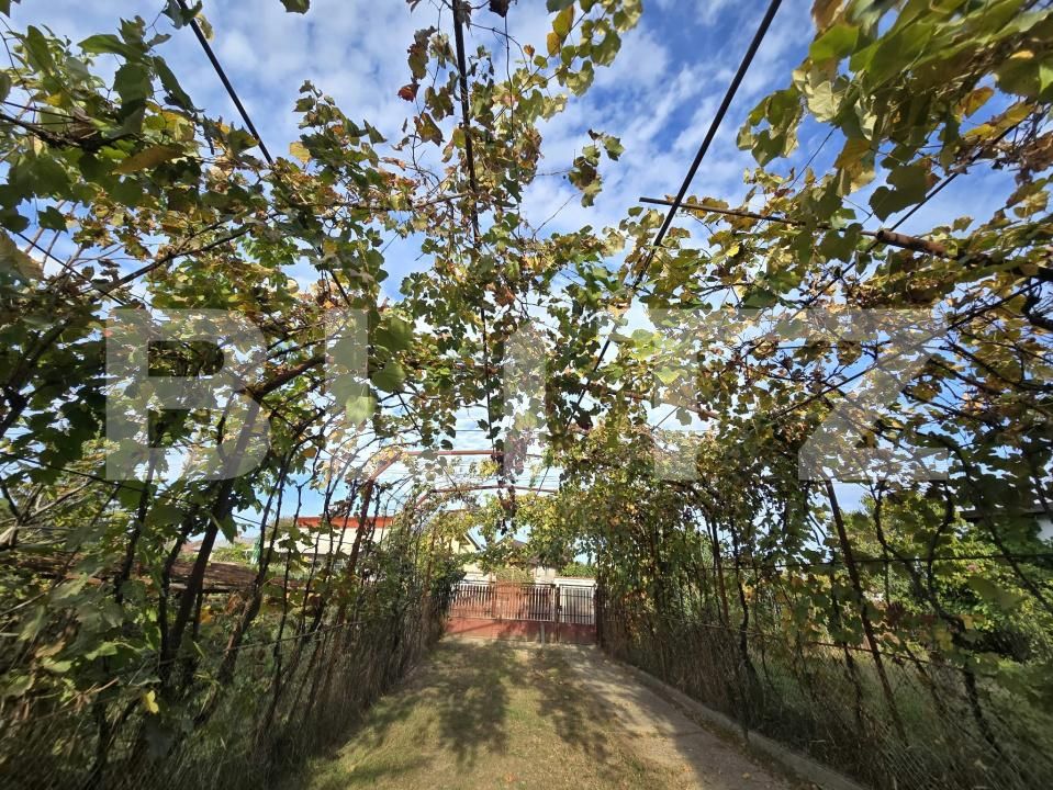 Casa de vânzare 3 camere Viisoara - 207974CV | BLITZ Târgoviște | Poza3