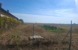 Teren intravilan 19.240 mp, zona Centrală - Dragomirești