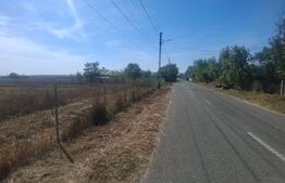 Teren intravilan 19.240 mp, zona Centrală - Dragomirești