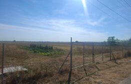 Teren intravilan 19.240 mp, zona Centrală - Dragomirești