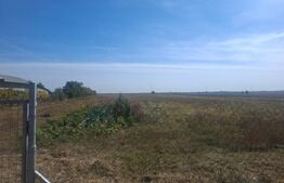 Teren intravilan 19.240 mp, zona Centrală - Dragomirești