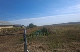 Teren intravilan 19.240 mp, zona Centrală - Dragomirești