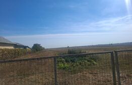 Teren intravilan 19.240 mp, zona Centrală - Dragomirești
