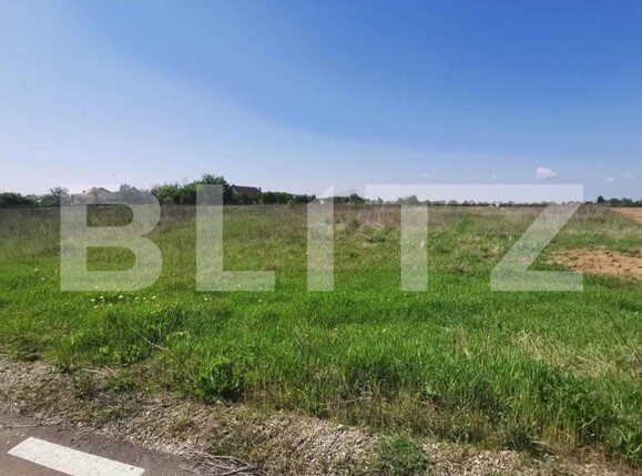 Teren de vânzare Cazaci - 208911TV | BLITZ Târgoviște | Poza1