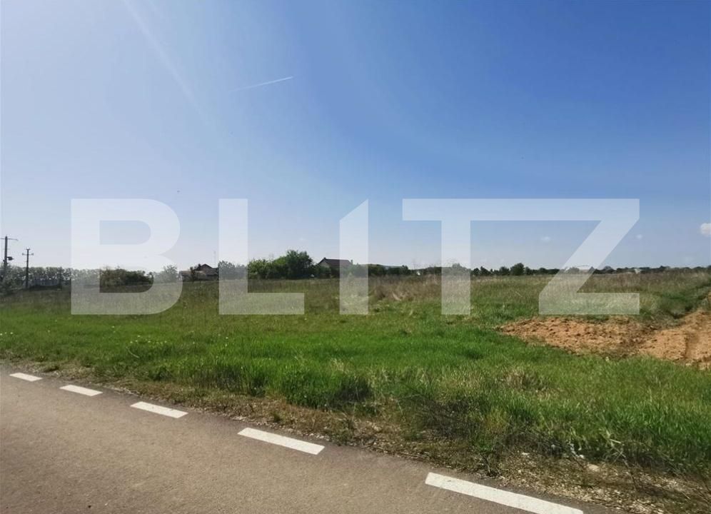 Teren de vânzare Cazaci - 208911TV | BLITZ Târgoviște | Poza4