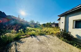 Propietate de vânzare, 56 mp, zona Centrală - Sălcioara