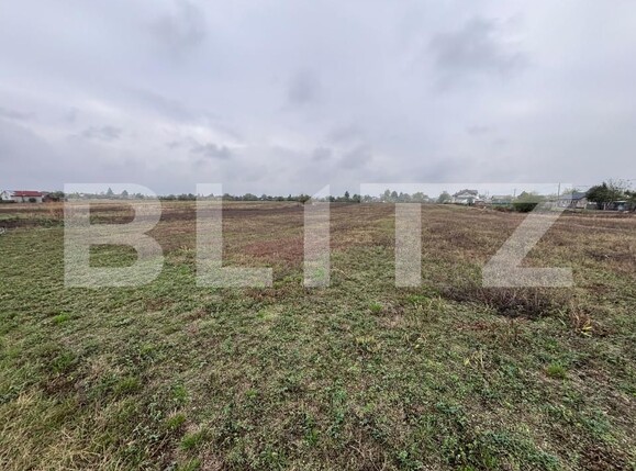 Teren de vânzare Cazaci - 209482TV | BLITZ Târgoviște | Poza1