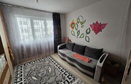 Garsonieră de vânzare, 22 mp, zona Sud