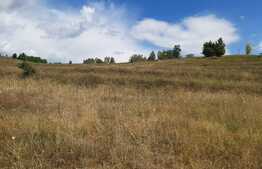 Teren intravilan, 3566 mp, Aleea Mânăstirii