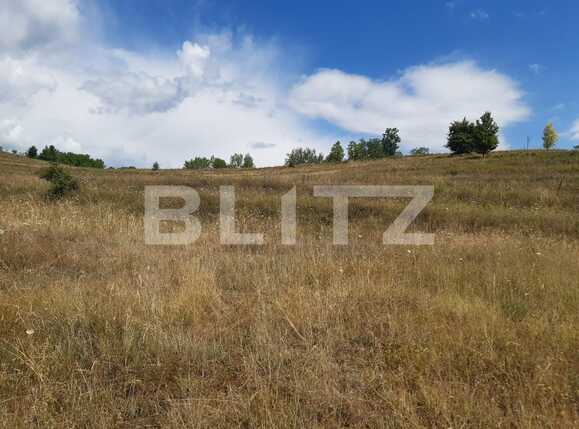 Teren de vânzare Exterior Vest - 92876TV | BLITZ Târgoviște | Poza4