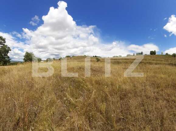 Teren de vânzare Exterior Vest - 92876TV | BLITZ Târgoviște | Poza3