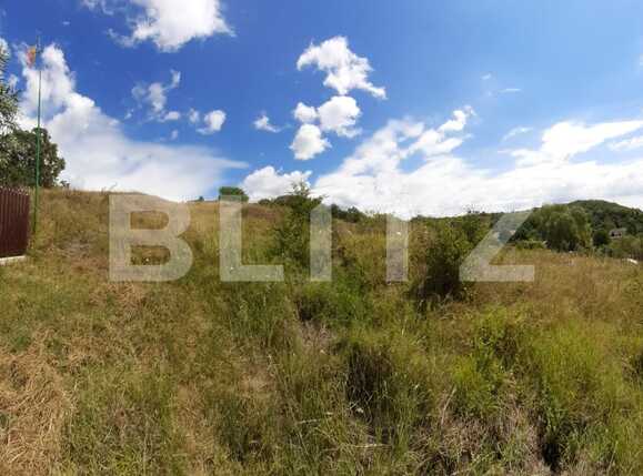 Teren de vânzare Exterior Vest - 92876TV | BLITZ Târgoviște | Poza2