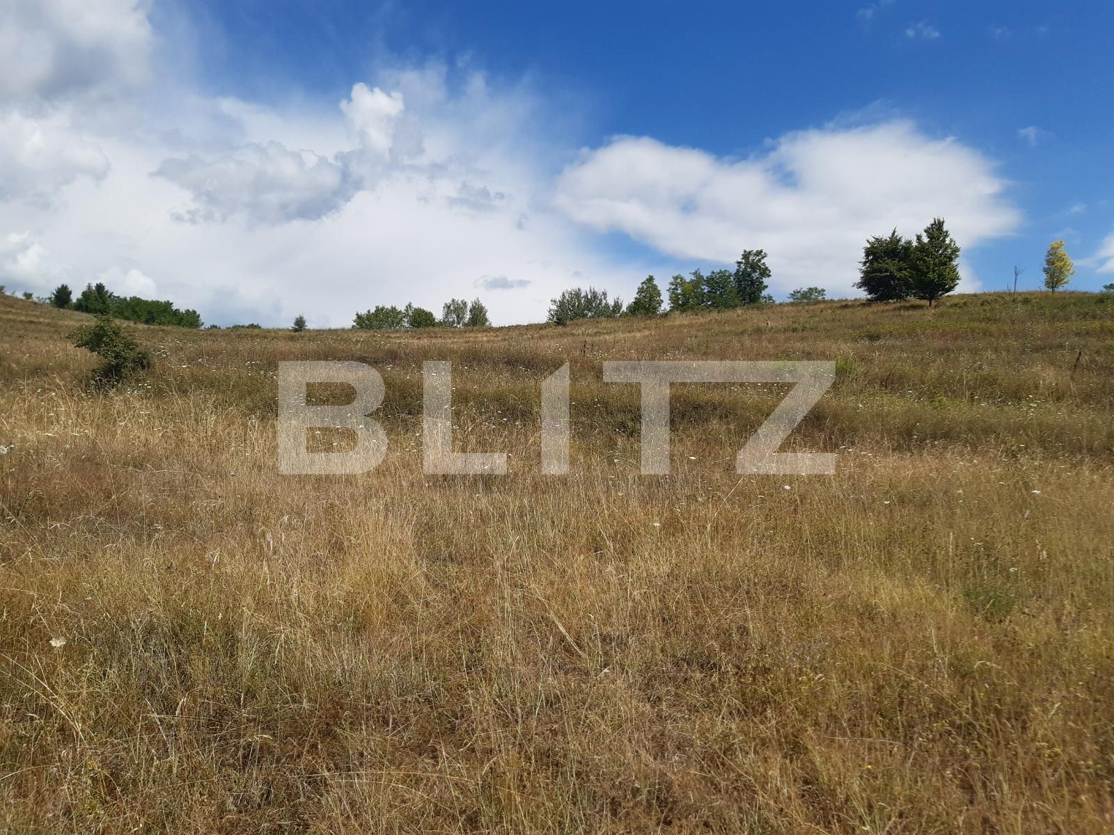 Teren de vânzare Exterior Vest - 92876TV | BLITZ Târgoviște | Poza4