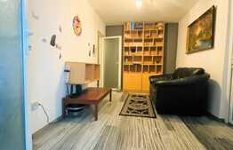 Apartament 2 camere, 45 mp, zona Poarta Bucuresti