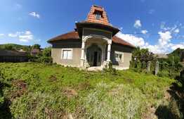 Casă individuală, 200 mp, teren 80 000 mp, Runcu