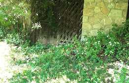 Casă individuală, 200 mp, teren 80 000 mp, Runcu