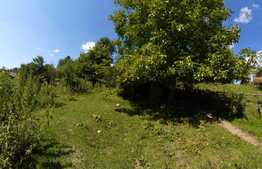 Casă individuală, 200 mp, teren 80 000 mp, Runcu