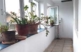 Casa individuala, 162 mp, teren 1600 mp, Ulmi