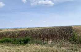 Teren extravilan, 5800 mp, DN71, zona Arctic