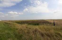 Teren extravilan, 5800 mp, DN71, zona Arctic