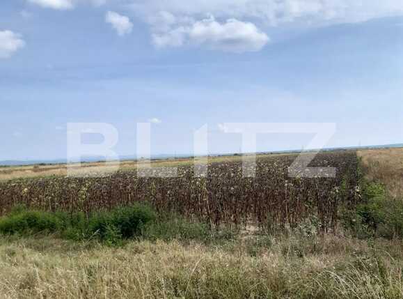 Teren de vânzare Exterior Est - 94511TV | BLITZ Târgoviște | Poza3