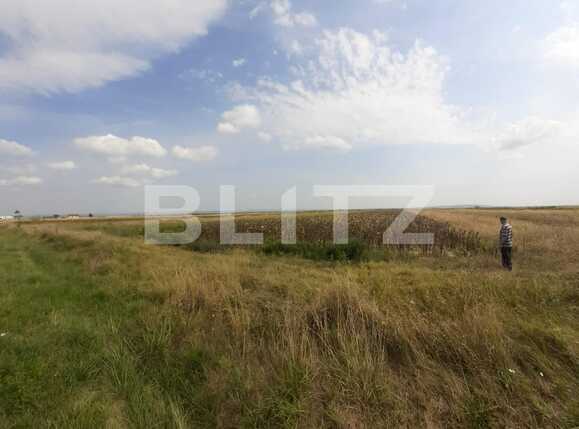 Teren de vânzare Exterior Est - 94511TV | BLITZ Târgoviște | Poza1