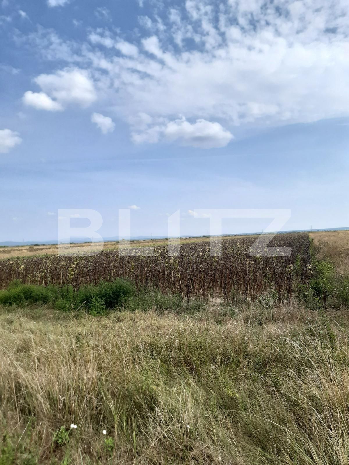 Teren de vânzare Exterior Est - 94511TV | BLITZ Târgoviște | Poza3