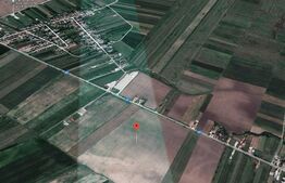 Teren extravilan, 90000 mp, Comisani