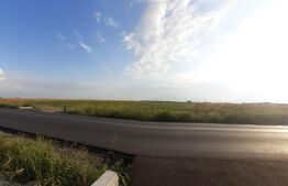 Teren extravilan, 90000 mp, Comisani