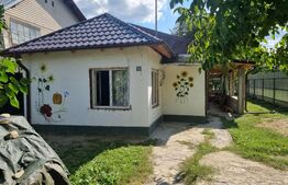 Casă individuală renovabilă, 35 mp utili, 700 mp teren, în localitatea Răzvad