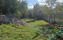 Casă individuală renovabilă, 35 mp utili, 700 mp teren, în localitatea Răzvad