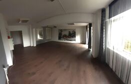 Spatiu comercial, 50 mp, Micro 11