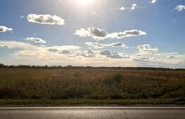 Teren intravilan, 5000 mp, DN71