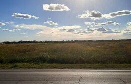 Teren intravilan, 5000 mp, DN71