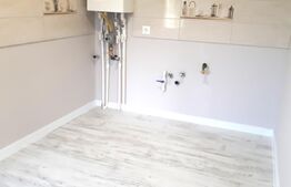 Casa individuala 80 mp, teren 760 mp, Razvad