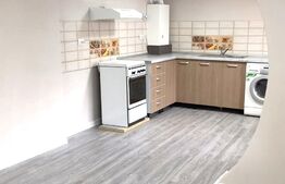 Casa individuala 140 mp, teren 680 mp, Aninoasa