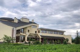 Vila 10 camere, 700mp, 1500 mp teren, in Tartasesti, Dambovita