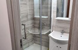 Garsonieră de 29 mp, renovata, parter, Micro 9