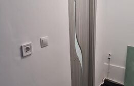 Garsonieră de 29 mp, renovata, parter, Micro 9