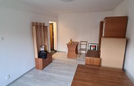 Garsonieră de 29 mp, renovata, parter, Micro 9