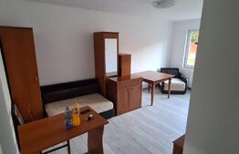 Garsonieră de 29 mp, renovata, parter, Micro 9