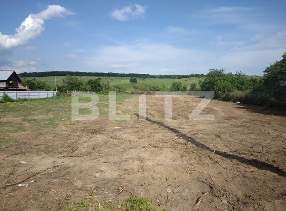 Teren de vânzare Preajba - 103498TV | BLITZ Târgu Jiu | Poza4