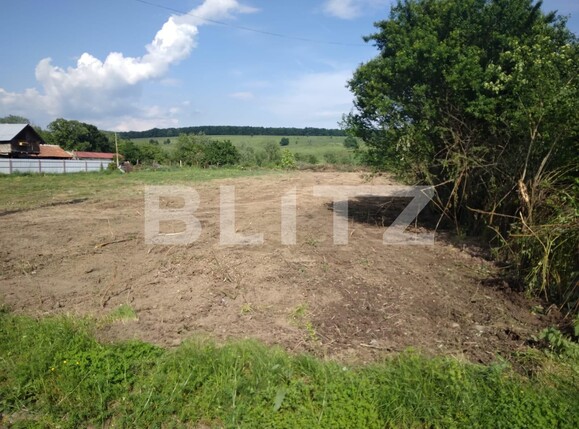 Teren de vânzare Preajba - 103498TV | BLITZ Târgu Jiu | Poza3