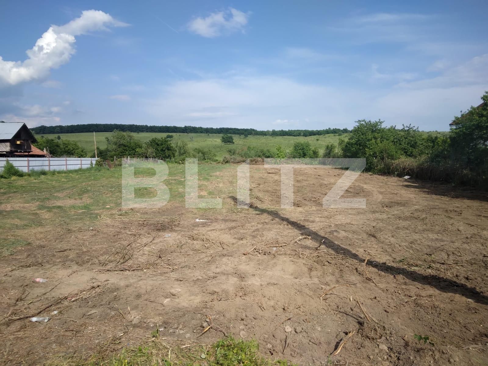 Teren de vânzare Preajba - 103498TV | BLITZ Târgu Jiu | Poza4