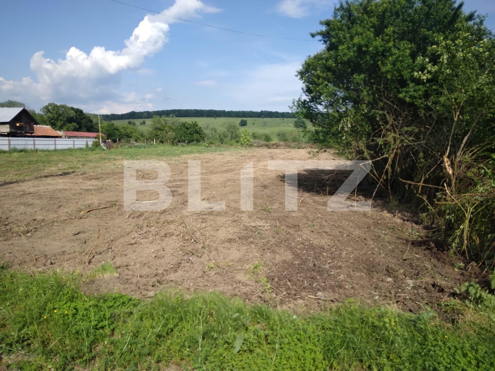 Teren de vânzare Preajba - 103498TV | BLITZ Târgu Jiu | Poza3