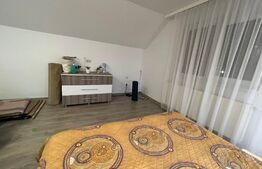 Casa/Pensiune la cheie 