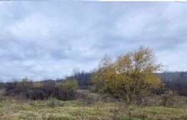 DE vanzare teren extravilan in Bârsești - Targu jiu, Gorj.