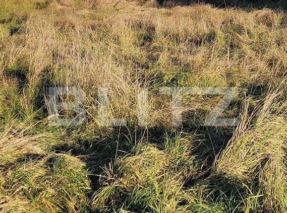 Teren de vânzare Exterior Nord - 103966TV | BLITZ Târgu Jiu | Poza3